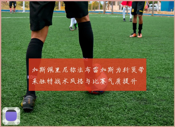 加斯佩里尼称法布雷加斯为科莫带来独特战术风格与比赛气质提升